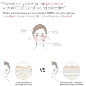 Accoje Anti-Aging Volume Capsule Cream 50ml SKINCARE