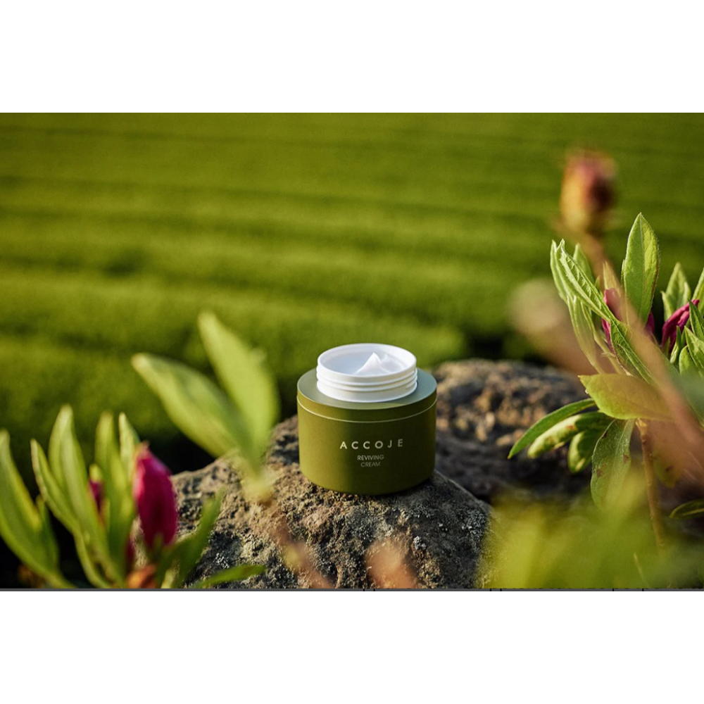 Accoje Reviving Cream 50ml SKINCARE
