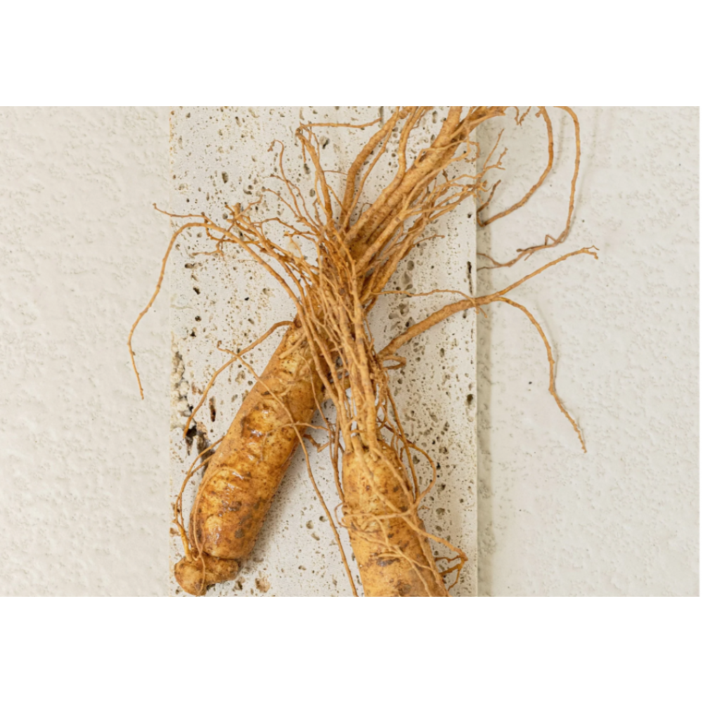 Beauty of Joseon Dynasty Cream 50ml SKINCARE