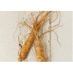 Beauty of Joseon Dynasty Cream 50ml SKINCARE