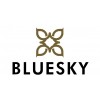 Bluesky Professional