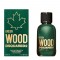 Dsquared2 Wood Green Pour Homme Eau De Toilette 50ml