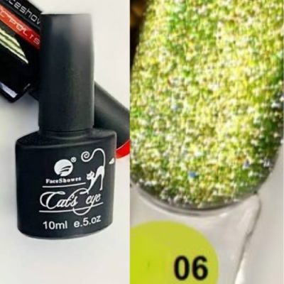 FaceShowes Cat Eye Gel Polish 06 10ml