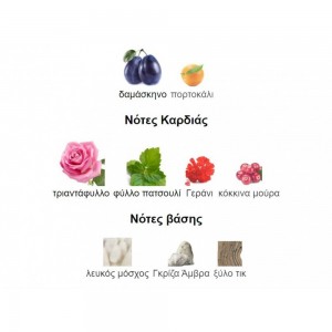 Lpdo Bois Nuit Women Eau De Parfum Intense Spray 100ml Γυναικεία Αρώματα