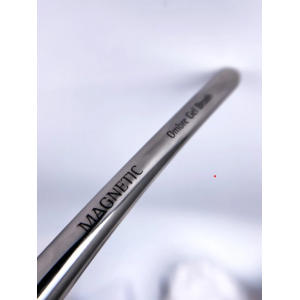 Magnetic Ombre Gel Brush NAILS