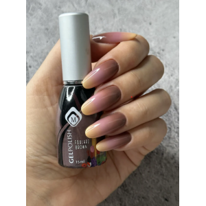 Magnetic Ombre Gel Brush NAILS