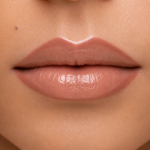 Nejha HydraGlow Compo Chocolate Cream MAKEUP