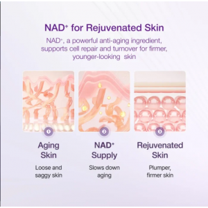 Numbuzin No9 Nad Bio Lifting Essence 50ml SKINCARE